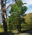 Rondje Lake District op 3-5-2012 (11)